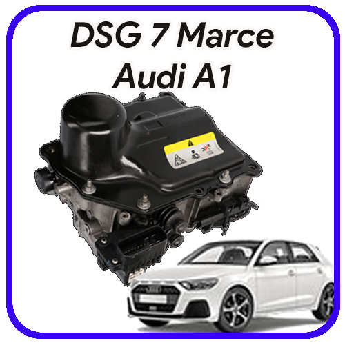 Meccatronica DSG 7 marce Audi A1 Revisione e servizi